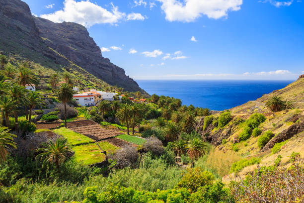 Canary style villa palm tree, La Gomera, Canary Islands