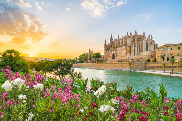 palma_de_mallorca